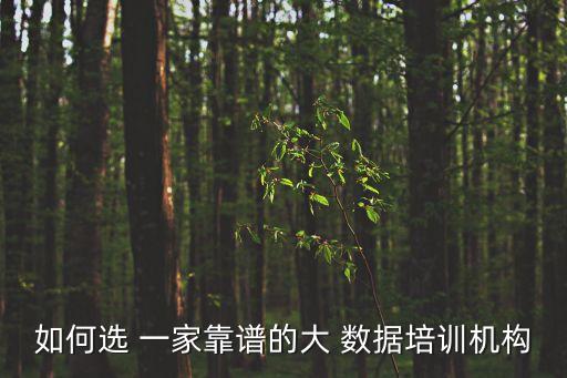 如何選 一家靠譜的大 數(shù)據(jù)培訓(xùn)機(jī)構(gòu)
