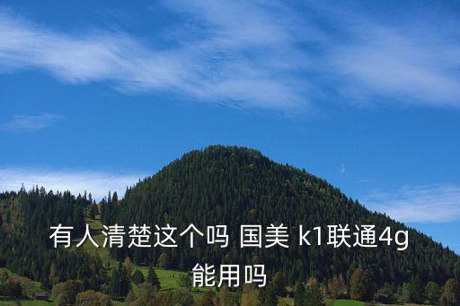 有人清楚這個嗎 國美 k1聯(lián)通4g能用嗎