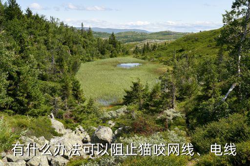 貓吃了數(shù)據(jù)線,貓吃數(shù)據(jù)線能拉出來嗎