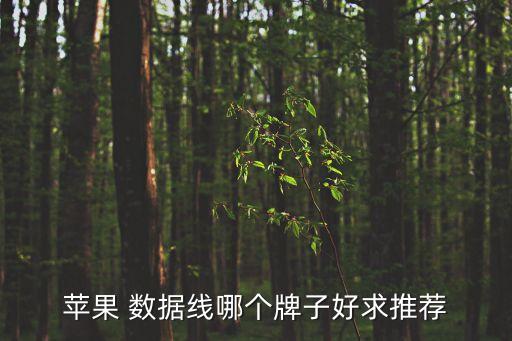 數(shù)據(jù)線品牌質(zhì)量好,三合一數(shù)據(jù)線哪個(gè)品牌質(zhì)量好