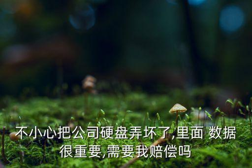 數(shù)據(jù)丟失造成的損失,云服務(wù)數(shù)據(jù)丟失損失怎么賠償