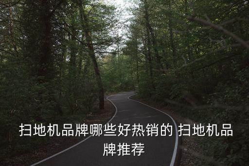  掃地機品牌哪些好熱銷的 掃地機品牌推薦