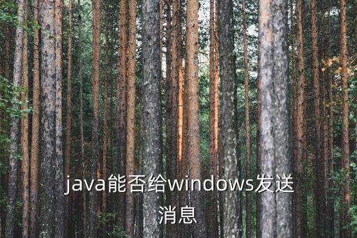  java能否給windows發(fā)送消息