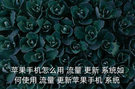蘋果手機怎么用 流量 更新 系統(tǒng)如何使用 流量 更新蘋果手機 系統(tǒng)