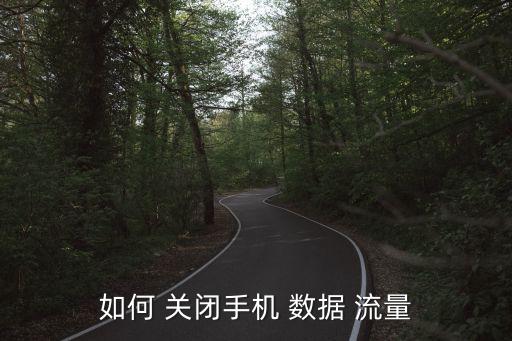 如何 關(guān)閉手機(jī) 數(shù)據(jù) 流量