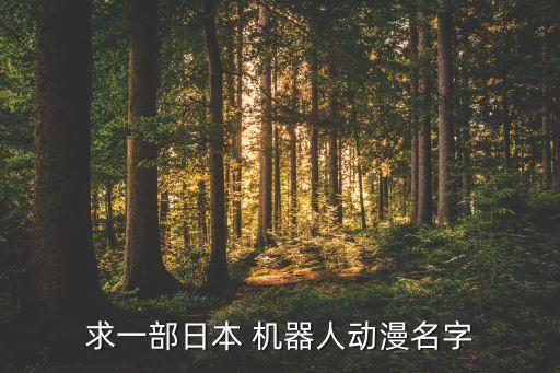 求一部日本 機(jī)器人動(dòng)漫名字