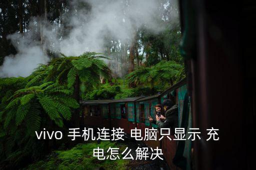 vivo 手機連接 電腦只顯示 充電怎么解決