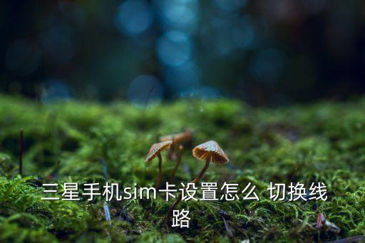 三星on卡1卡2數(shù)據(jù)切換