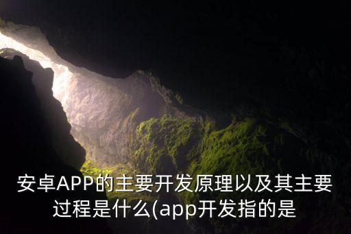 安卓APP的主要開發(fā)原理以及其主要過(guò)程是什么(app開發(fā)指的是