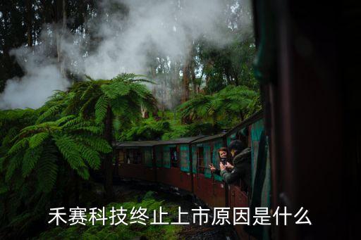 禾賽科技終止上市原因是什么