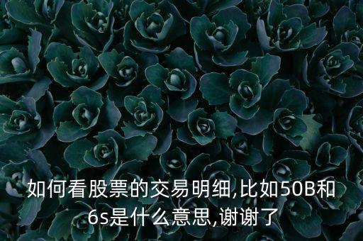 如何看股票的交易明細,比如50B和 6s是什么意思,謝謝了
