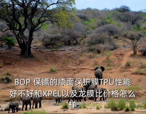 BOP 保鏢的漆面保護(hù)膜TPU性能好不好和XPEL以及龍膜比價(jià)格怎么樣