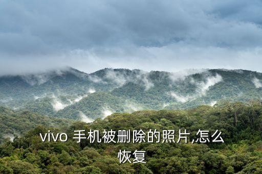 vivo手機(jī)數(shù)據(jù)恢復(fù)軟件