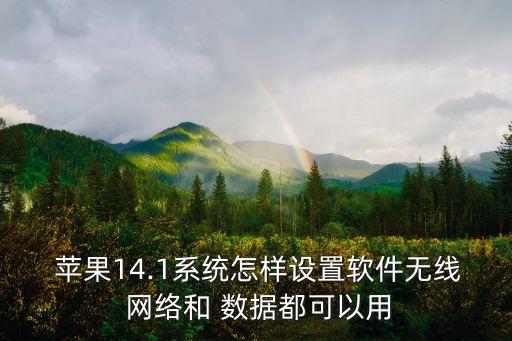  蘋果14.1系統(tǒng)怎樣設(shè)置軟件無線 網(wǎng)絡(luò)和 數(shù)據(jù)都可以用