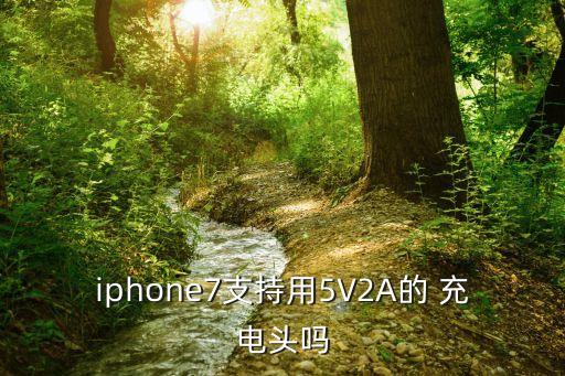 iphone7支持用5V2A的 充電頭嗎