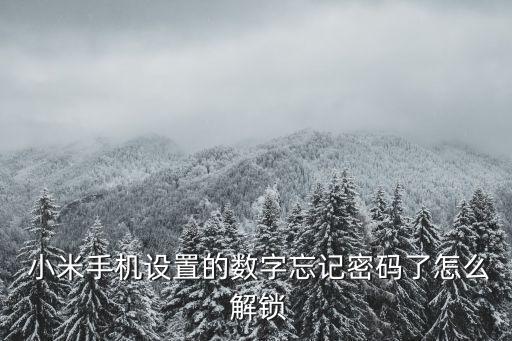 小米手機設(shè)置的數(shù)字忘記密碼了怎么 解鎖