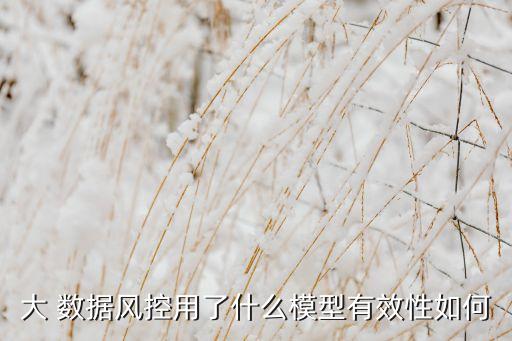 大 數(shù)據(jù)風控用了什么模型有效性如何