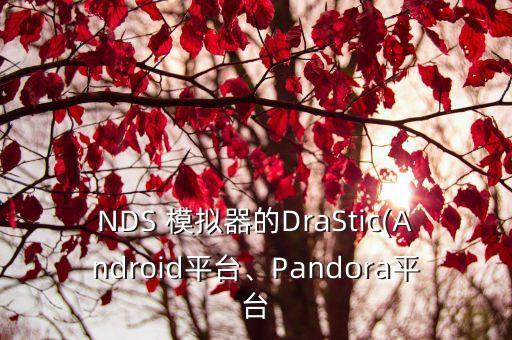 NDS 模擬器的DraStic(Android平臺、Pandora平臺