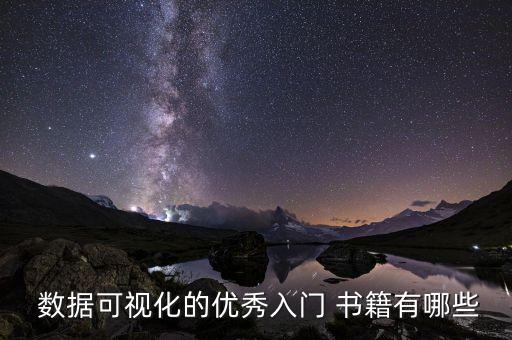 數(shù)據(jù)可視化的優(yōu)秀入門 書籍有哪些