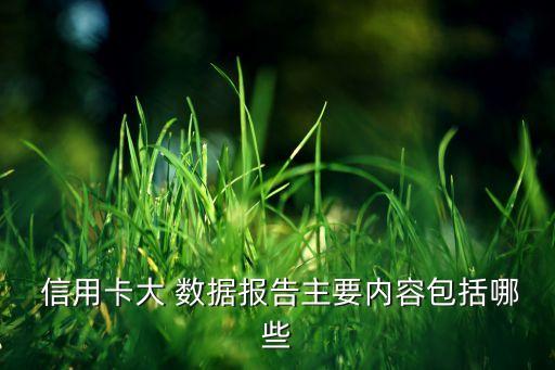 大數(shù)據(jù)信用卡