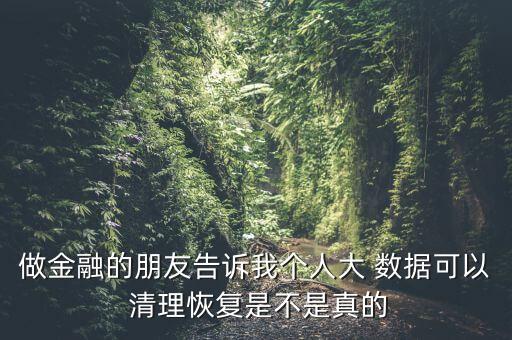 大數(shù)據(jù) 數(shù)據(jù) 清理,數(shù)據(jù)審核會(huì)議應(yīng)該在數(shù)據(jù)清理完成后進(jìn)行