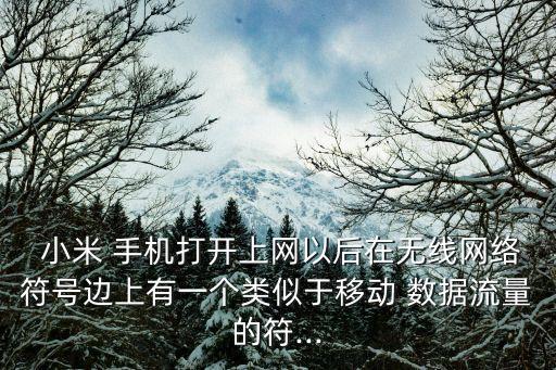  小米 手機(jī)打開上網(wǎng)以后在無線網(wǎng)絡(luò)符號邊上有一個類似于移動 數(shù)據(jù)流量的符...