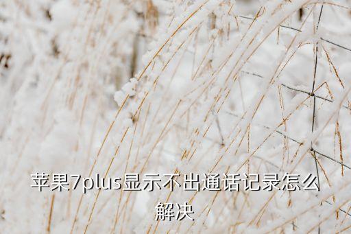 蘋果7plus顯示不出通話記錄怎么解決