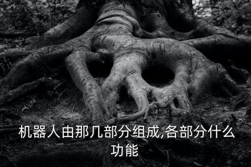  機(jī)器人由那幾部分組成,各部分什么功能