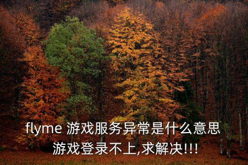 flyme 游戲服務(wù)異常是什么意思 游戲登錄不上,求解決!!!