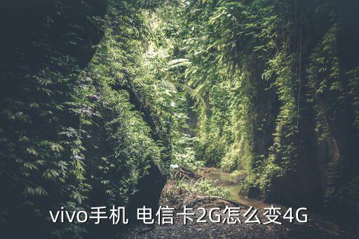 電信怎么設(shè)置4g數(shù)據(jù),電信4G提速設(shè)置