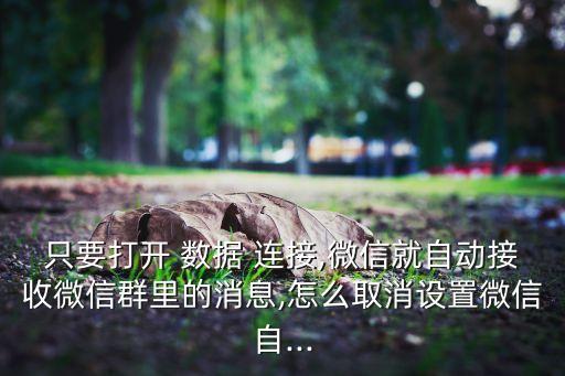手機上微信后數(shù)據(jù)連接
