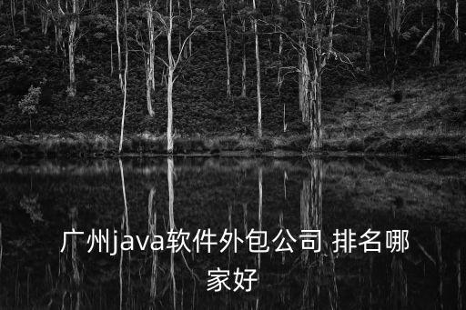  廣州java軟件外包公司 排名哪家好