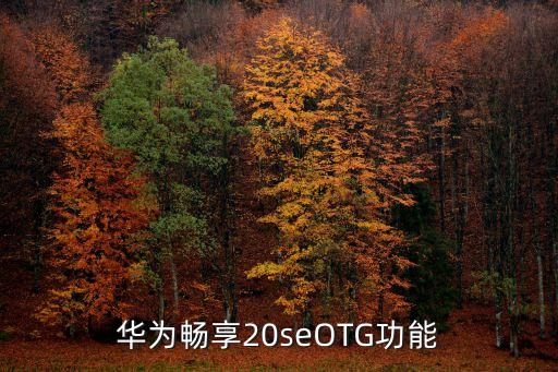 usb otg數(shù)據(jù)線,USB OTG數(shù)據(jù)線是什么