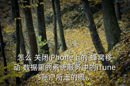 怎么 關(guān)閉iPhone上的 蜂窩移動(dòng) 數(shù)據(jù)里的系統(tǒng)服務(wù)中的iTunes賬戶(hù)所走的流...
