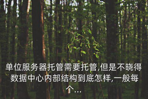 單位服務(wù)器托管需要托管,但是不曉得 數(shù)據(jù)中心內(nèi)部結(jié)構(gòu)到底怎樣,一般每個(gè)...