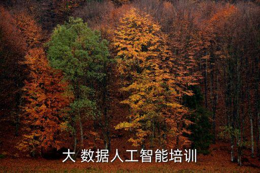 大 數(shù)據(jù)人工智能培訓(xùn)