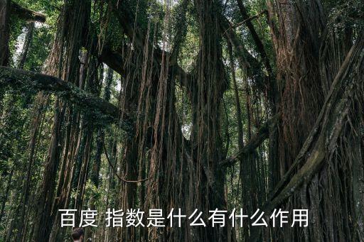 百度指數(shù)是大數(shù)據(jù)