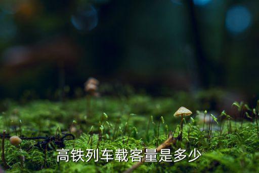 高鐵列車載客量是多少