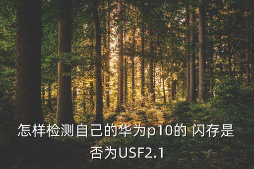 怎樣檢測(cè)自己的華為p10的 閃存是否為USF2.1