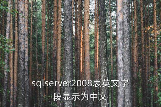 sqlserver2008表英文字段顯示為中文