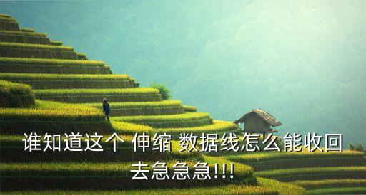 誰知道這個 伸縮 數(shù)據(jù)線怎么能收回去急急急!!!