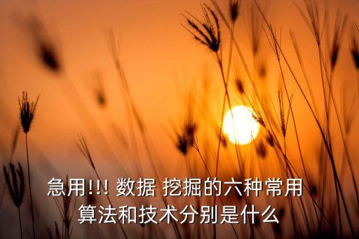 急用!!! 數(shù)據(jù) 挖掘的六種常用 算法和技術(shù)分別是什么