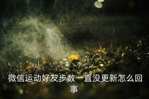  微信運動好友步數(shù)一直沒更新怎么回事