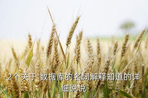 2個(gè)關(guān)于 數(shù)據(jù)庫的名詞解釋知道的詳細(xì)說說