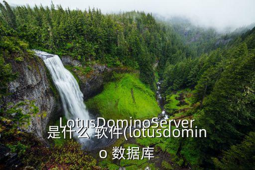 LotusDominoServer是什么 軟件(lotusdomino 數(shù)據(jù)庫