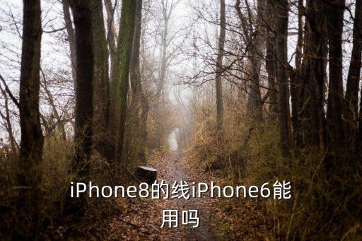 iPhone8的線iPhone6能用嗎