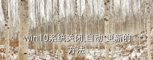  win10系統(tǒng)關閉 自動 更新的方法