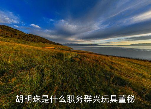 胡明珠是什么職務群興玩具董秘