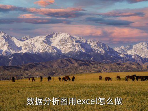  數(shù)據(jù)分析圖用excel怎么做