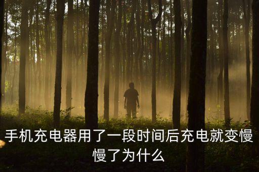手機充電器用了一段時間后充電就變慢慢了為什么